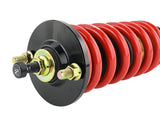 Skunk2 Pro-ST Coilovers EG/EK/DC/EF (Front 10 kg/mm - Rear 10 kg/mm)